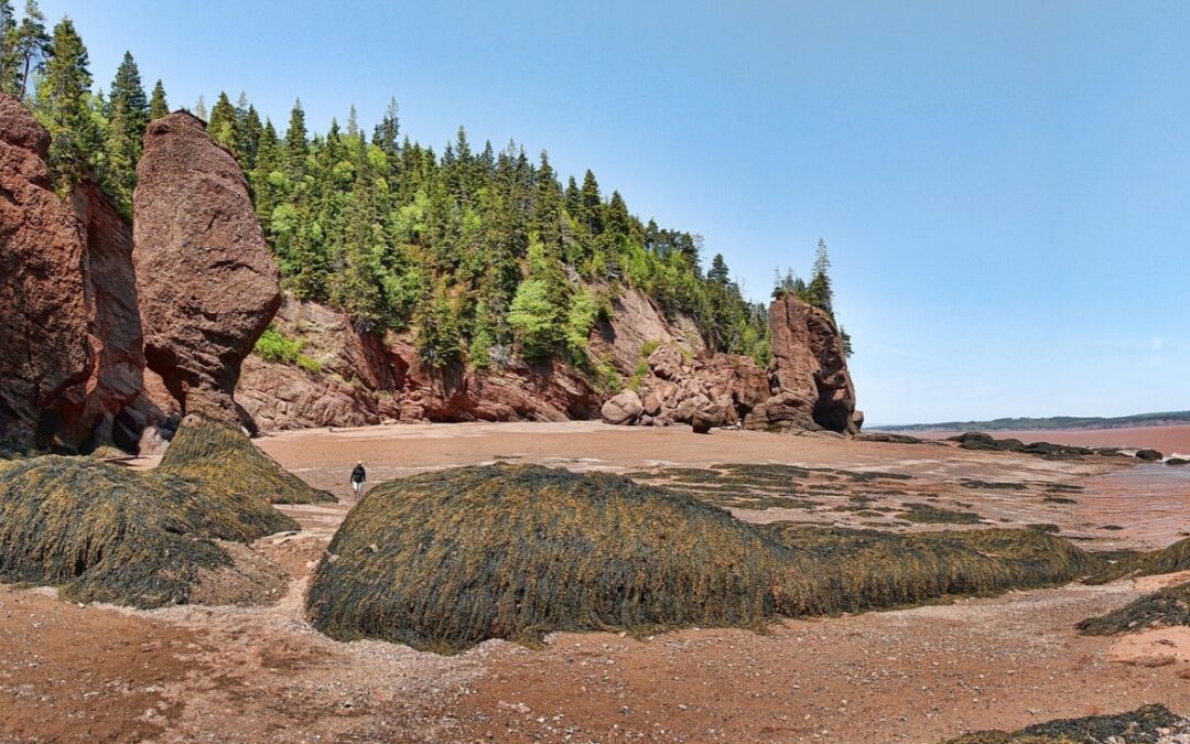 Quando il mare diventa una strada – Il fascino senza tempo della Baia di Fundy